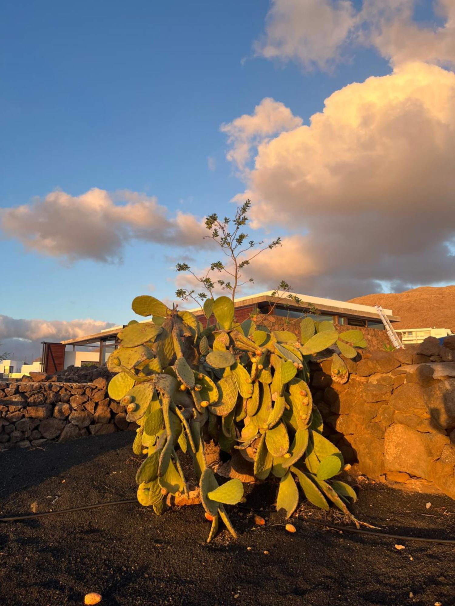 Finca Antigua Las Breñas エクステリア 写真